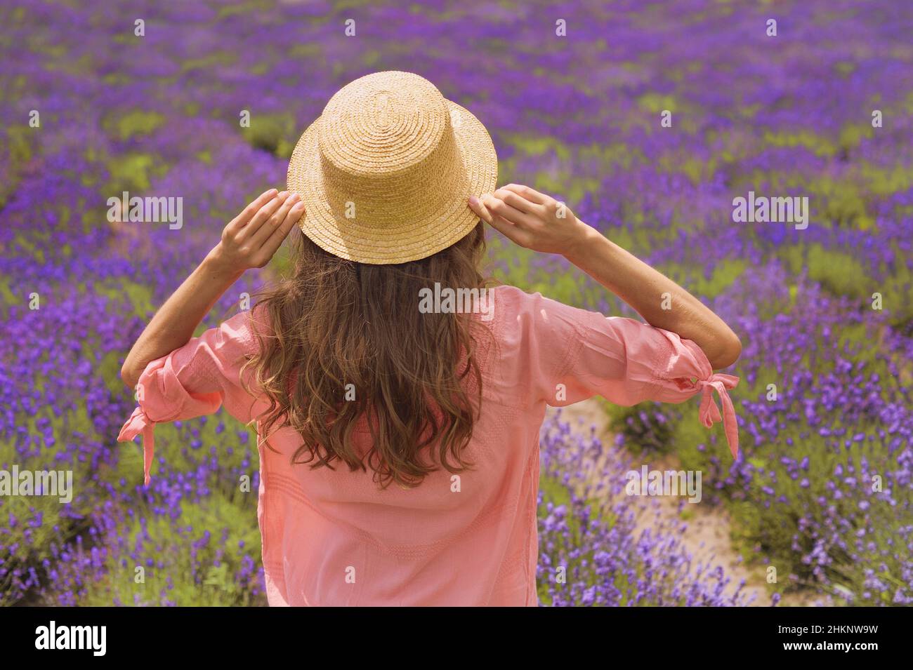 Junge schöne romantische Frau im Hut bleiben auf dem Feld der lila Lavendel Blumen. Weicher, selektiver Fokus Stockfoto