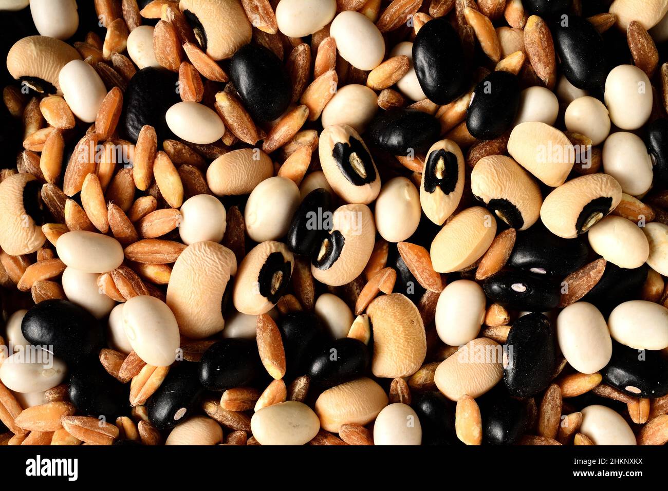 Weiße Bohnen, schwarze Bohnen, schwarze Erbsen und Dinkelkörner. Stockfoto