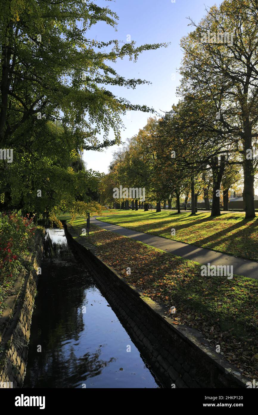 Die Vancouver Gardens im Broad Walk, der Walks Park, King's Lynn, Norfolk, England Stockfoto