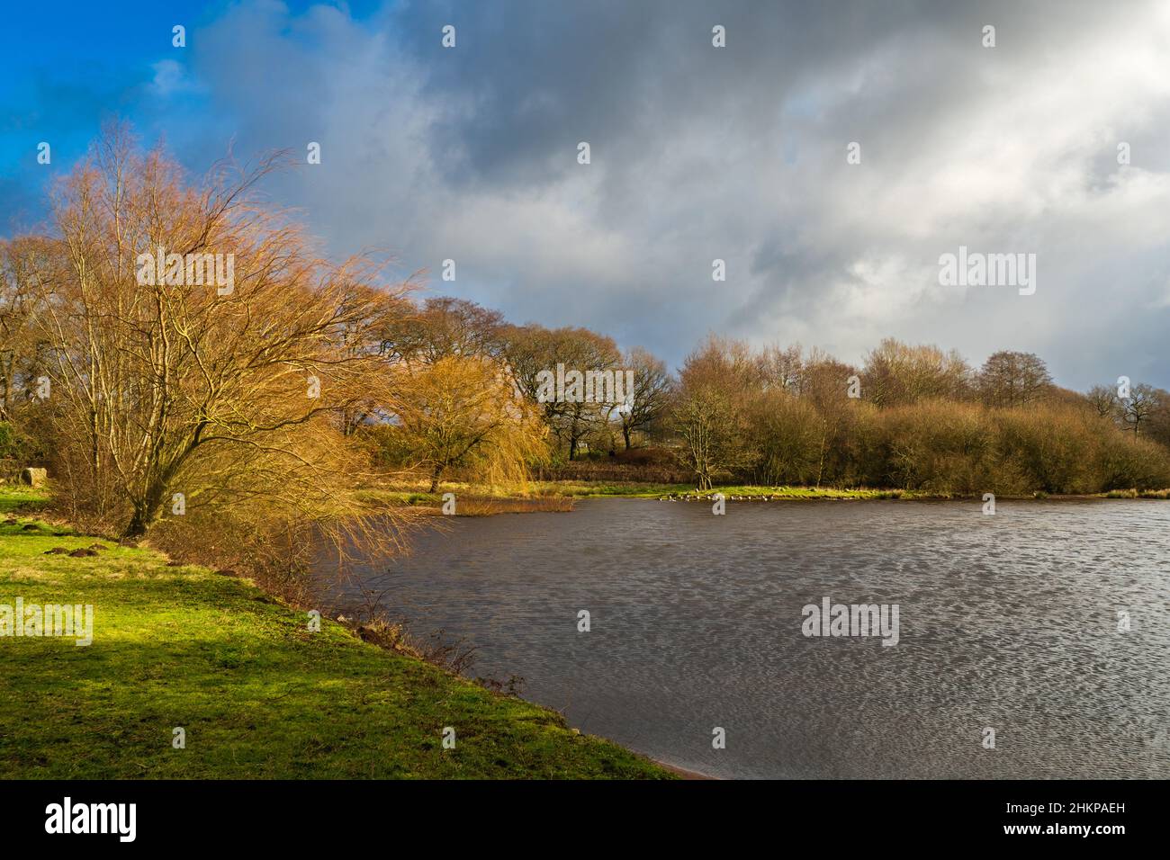 04.02.22 Rainford, Merseyside, Großbritannien. Siddings Lane ist ein Naturschutzgebiet in der Nähe von Rainford, St. Helens, und ist ein ehemaliges Kollistwerk. Stockfoto