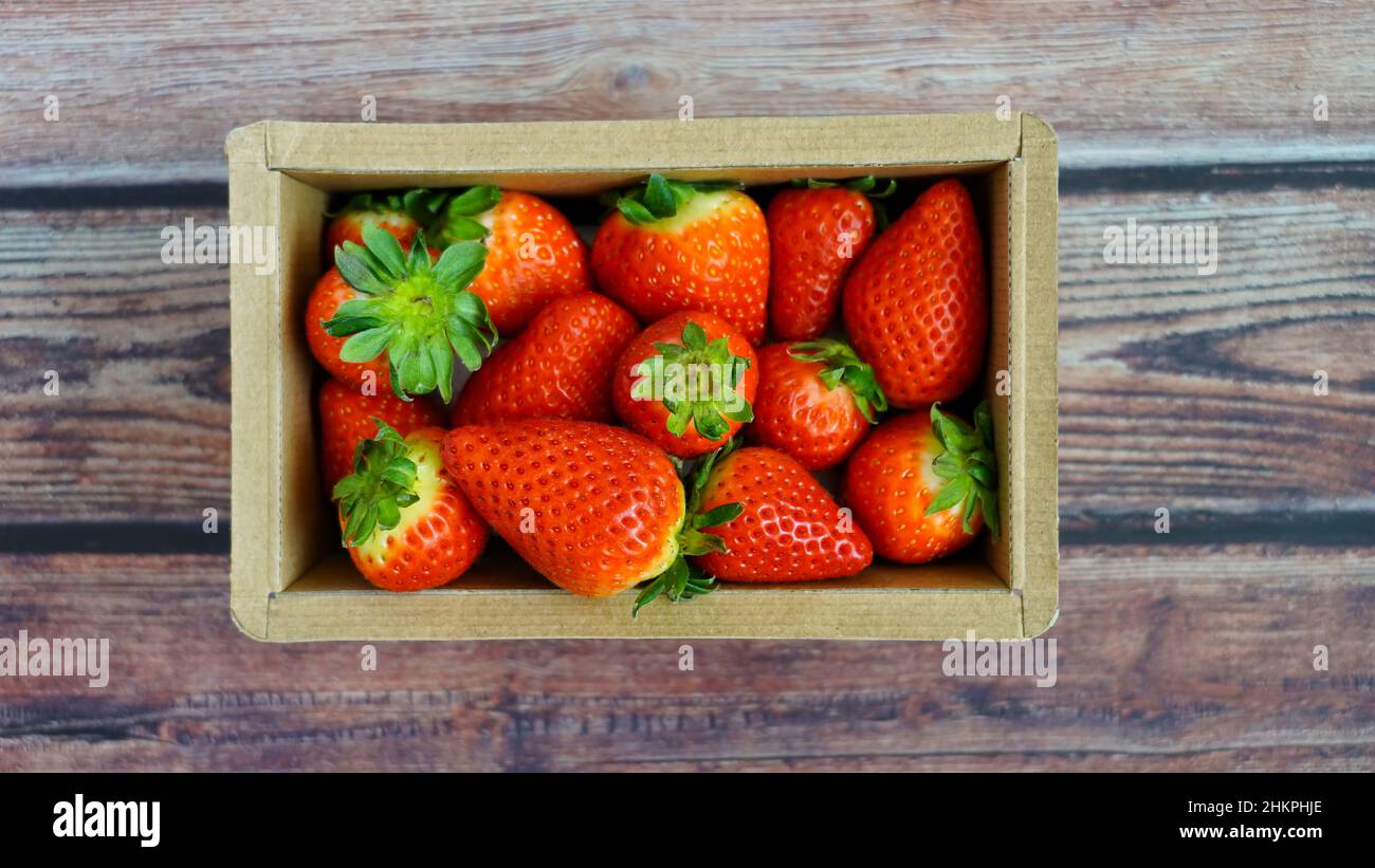 Draufsicht auf saftige Bio-Erdbeeren in einer umweltfreundlichen Kartonschachtel. Stockfoto