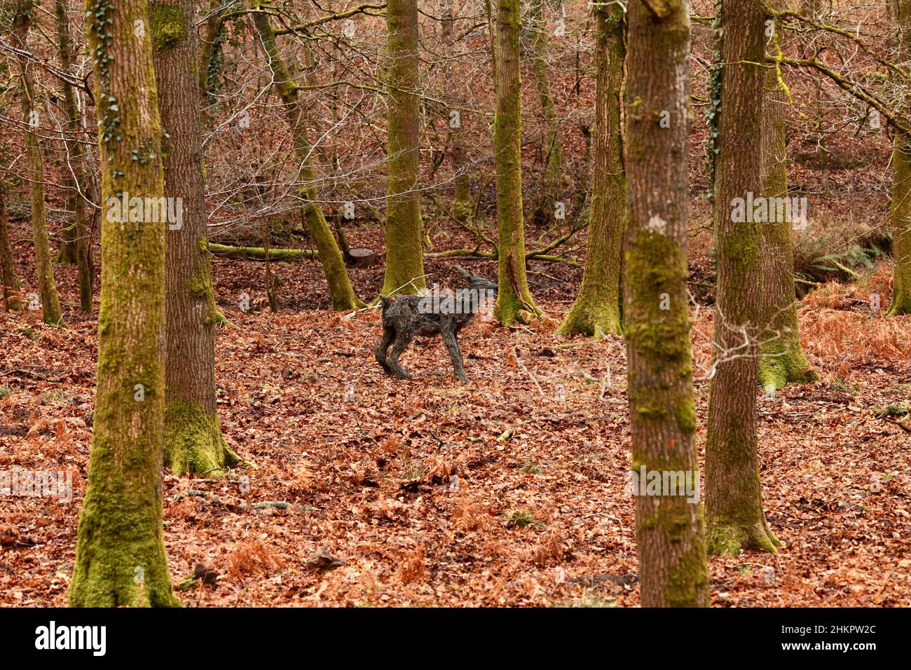 Sucherin Sophie Ryder 1988. Eine Ausstellung über den Skulpturenpfad „Forest of Dean“ mit zeitgenössischen Dauerskulpturen im gesamten Holz. Stockfoto