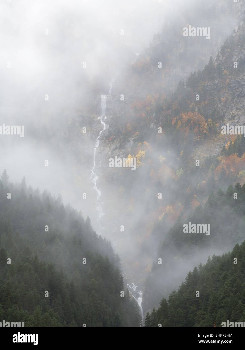 Nebliges Herbstwetter im Pineta-Tal Stockfoto