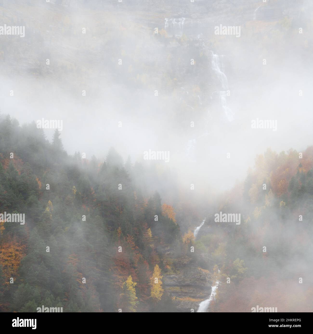 Nebliges Herbstwetter im Pineta-Tal Stockfoto