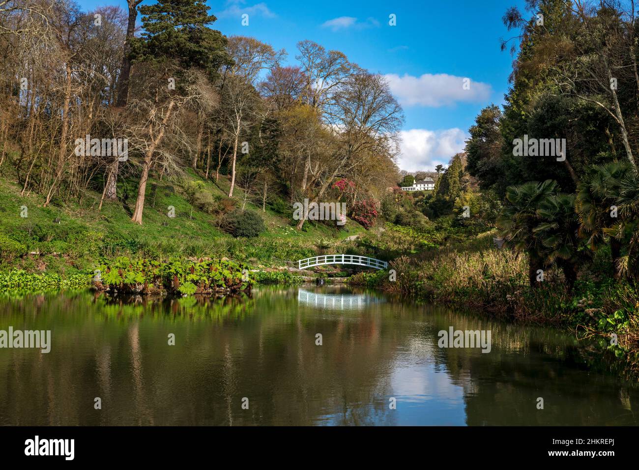 Trebah Garten; Feder; Cornwall, UK Stockfoto