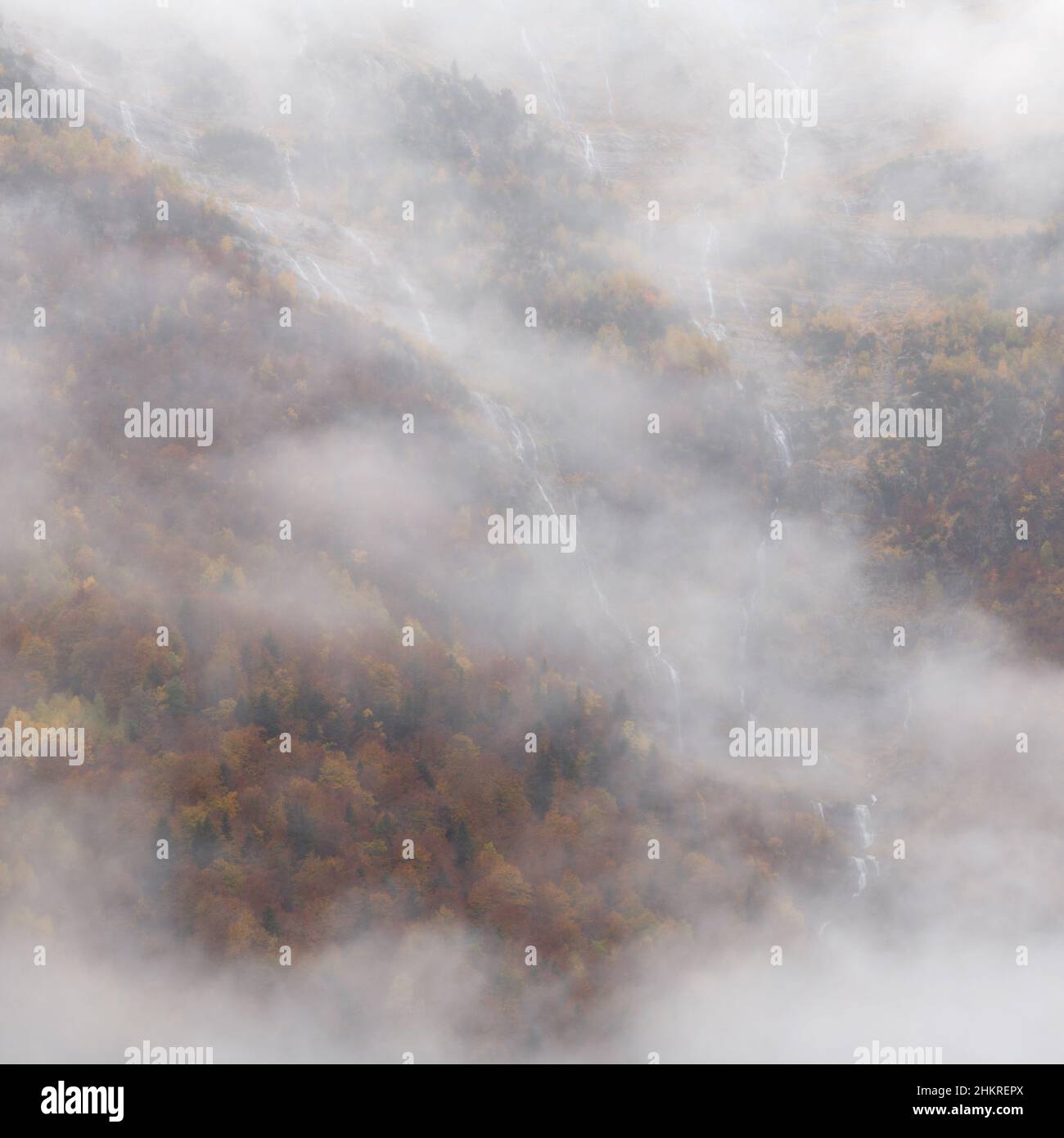 Nebliges Herbstwetter im Pineta-Tal Stockfoto