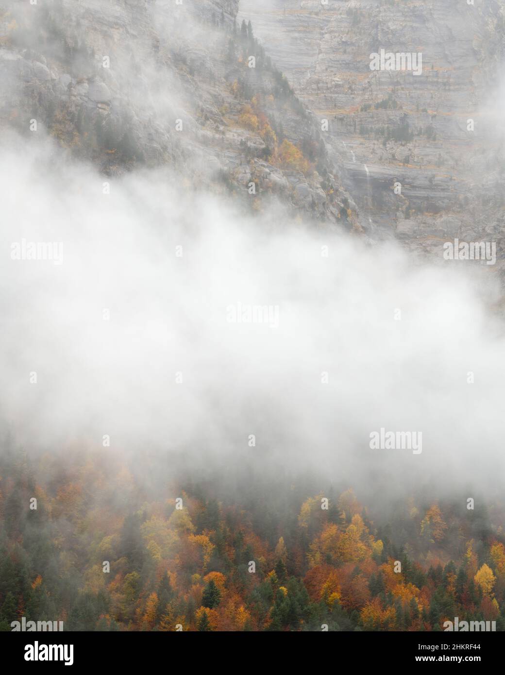 Nebliges Herbstwetter im Pineta-Tal Stockfoto