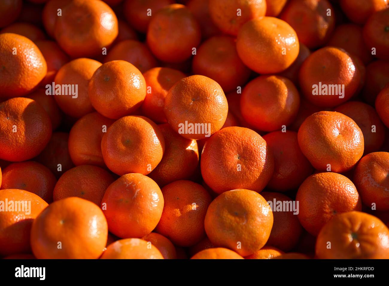 Ein paar frische Mandarinorangen auf dem Markt. Stockfoto