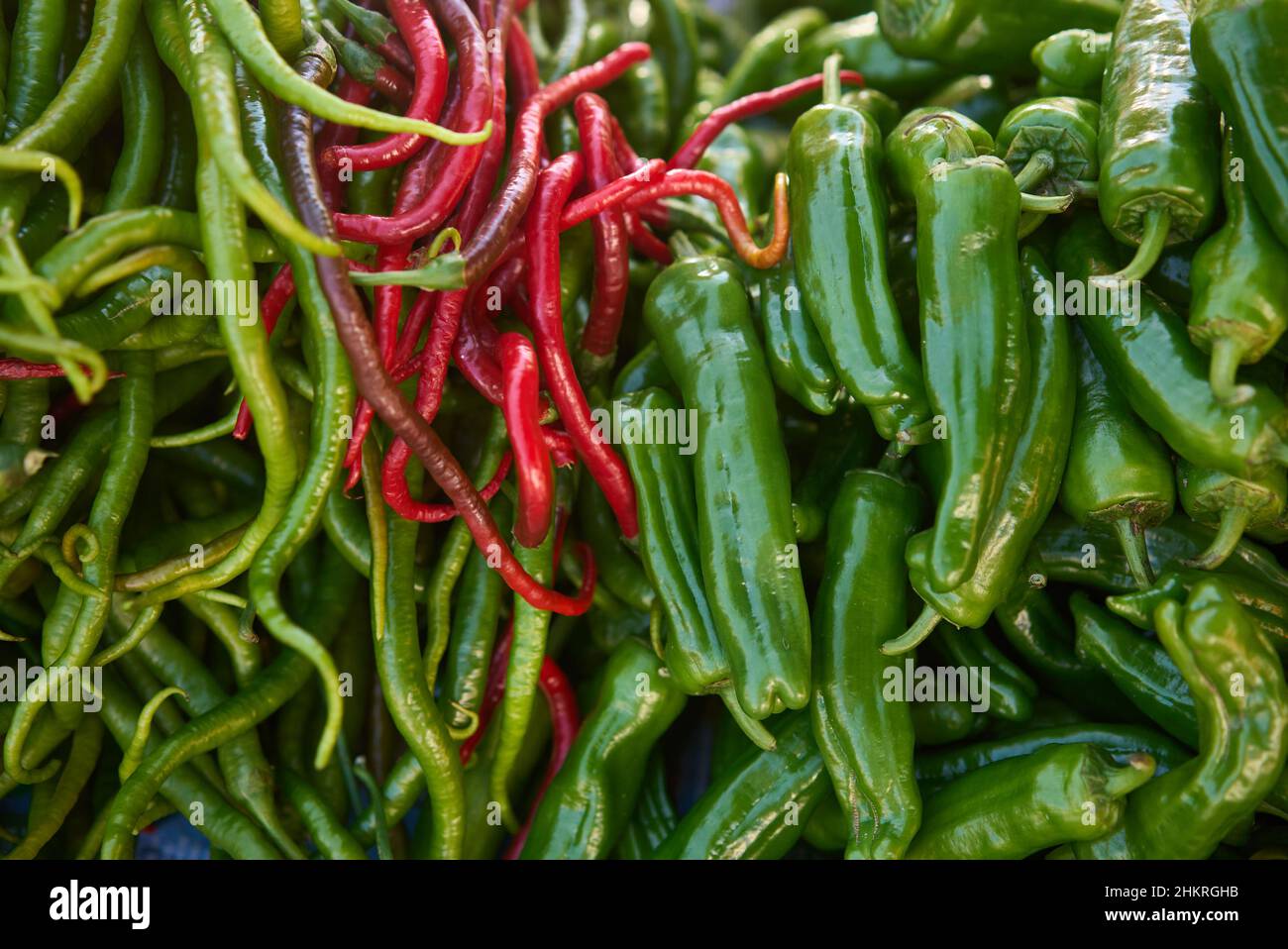 Aufnahme von grünen und roten Chilli-Paprika im Vollformat Stockfoto
