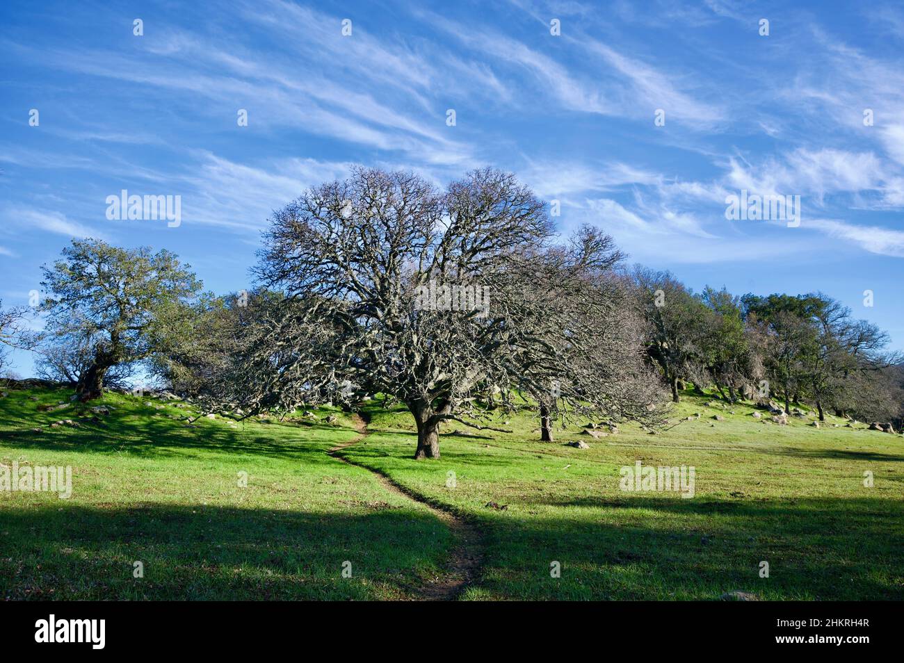 Regionalpark Stockfoto