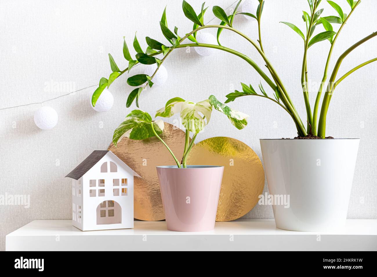 Seltene Hauspflanze Monstera deliciosa, bunt, Zamioculcas, Papierhaus und goldene Scheiben auf Regal auf weißem Hintergrund. Helle Farben im Innenraum von Stockfoto
