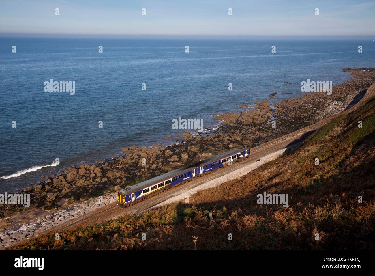 Der Sprinter der Nordbahn der Klasse 156 fährt auf der malerischen Bahnlinie Cumbrian Coast, Cumbria, Großbritannien, entlang des Meeres an der Küste Stockfoto