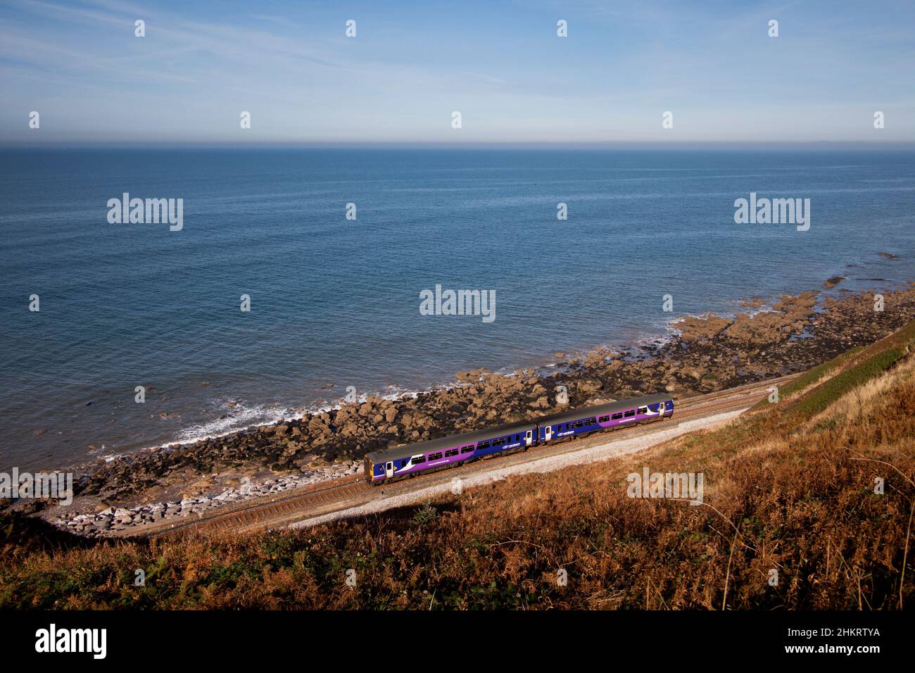 Der Sprinter der Nordbahn der Klasse 156 fährt auf der malerischen Bahnlinie Cumbrian Coast, Cumbria, Großbritannien, entlang des Meeres an der Küste Stockfoto