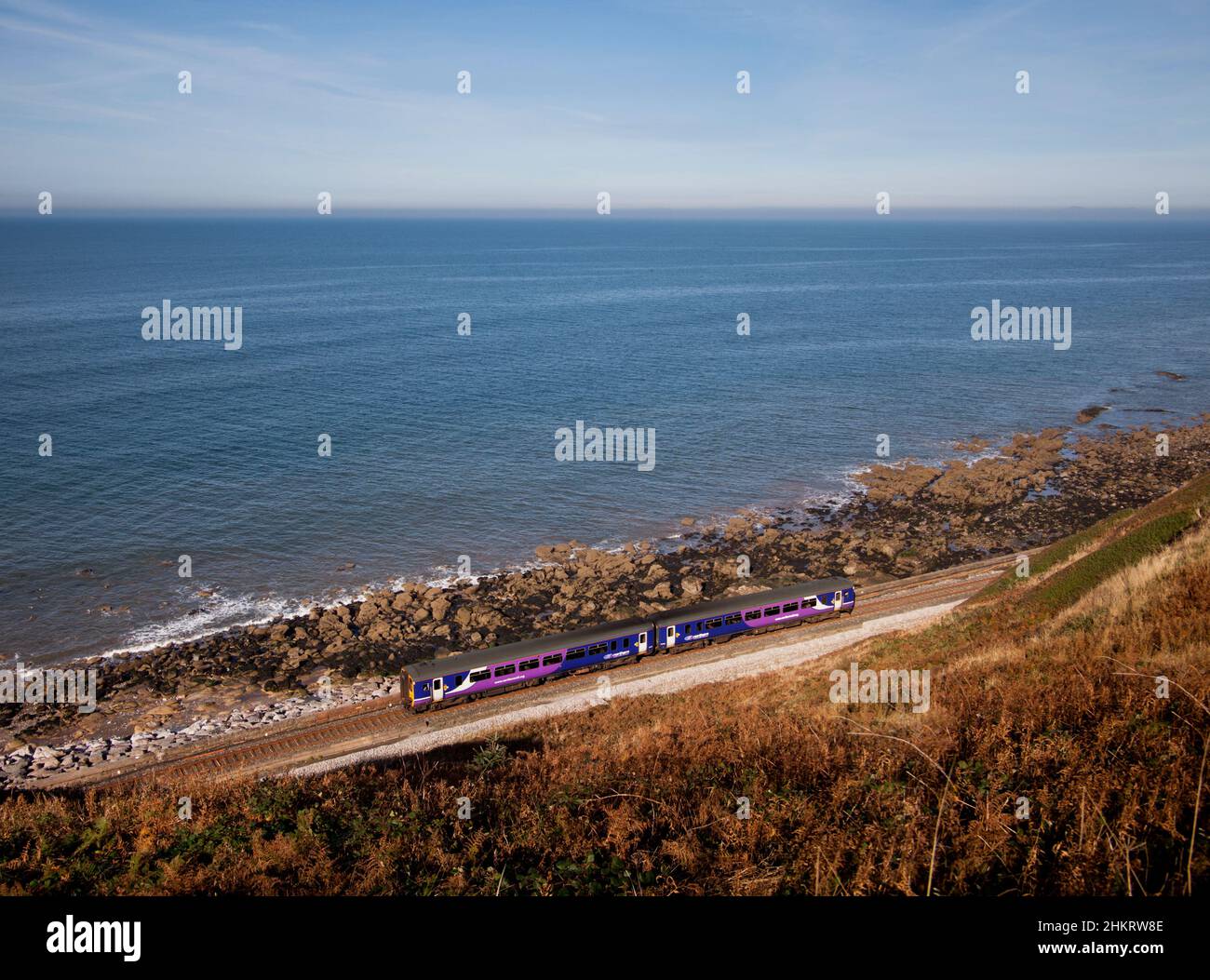 Der Sprinter der Nordbahn der Klasse 156 fährt auf der malerischen Bahnlinie Cumbrian Coast, Cumbria, Großbritannien, entlang des Meeres an der Küste Stockfoto