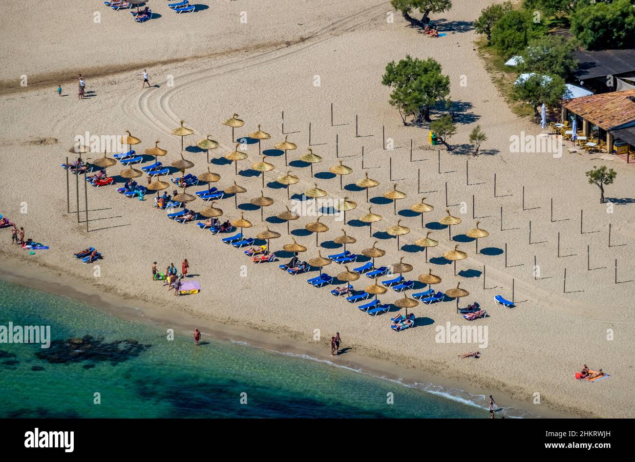 Luftbild, Strand und Strandleben mit Strohschirmen und Liegestühlen am Strand Platja d'Alcúdia, Alcúdia, Mallorca, Balearen, Spanien, bather Stockfoto