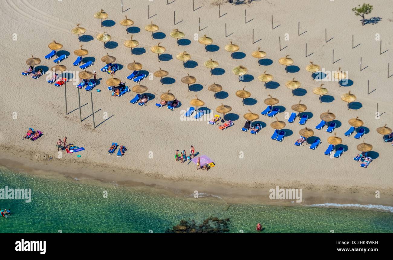 Luftbild, Strand und Strandleben mit Strohschirmen und Liegestühlen am Strand Platja d'Alcúdia, Alcúdia, Mallorca, Balearen, Spanien, bather Stockfoto