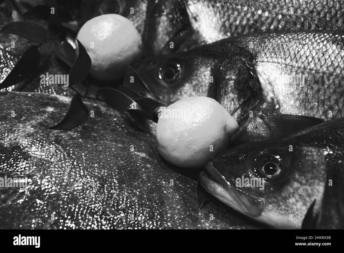 Europäischer Bass und Brill zum Verkauf und Fischmarkt in Frankreich. Fische haben wichtige Nährstoffe wie Eiweiß, Vitamin D und Omega-3. Gesunde Ernährung Konzept. Bl Stockfoto