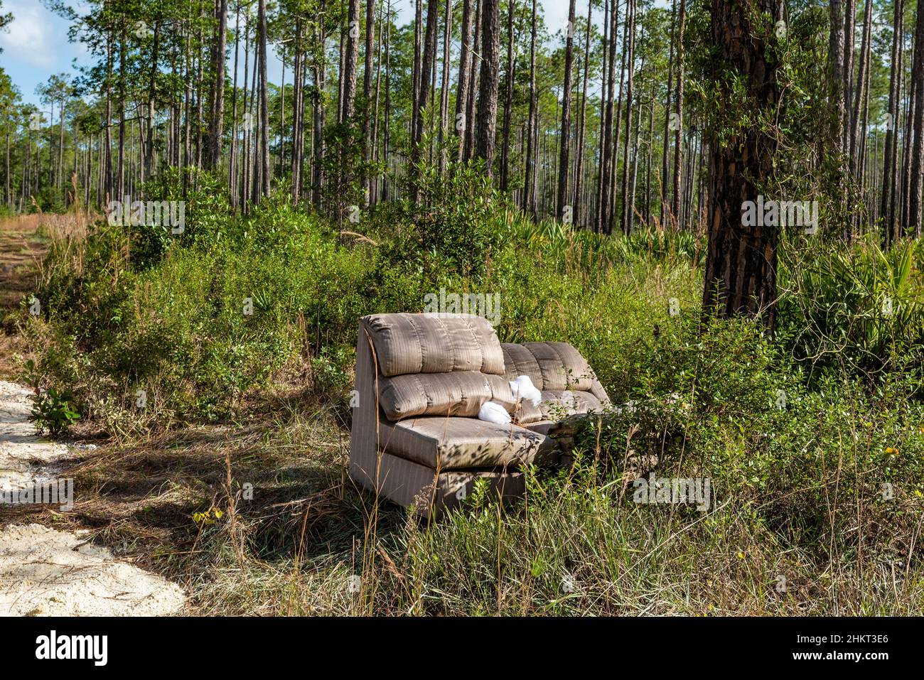 Ein verlassenes Sofa links neben einer unbefestigten Straße in einem Tiger Bay State Park, Florida, USA. Stockfoto