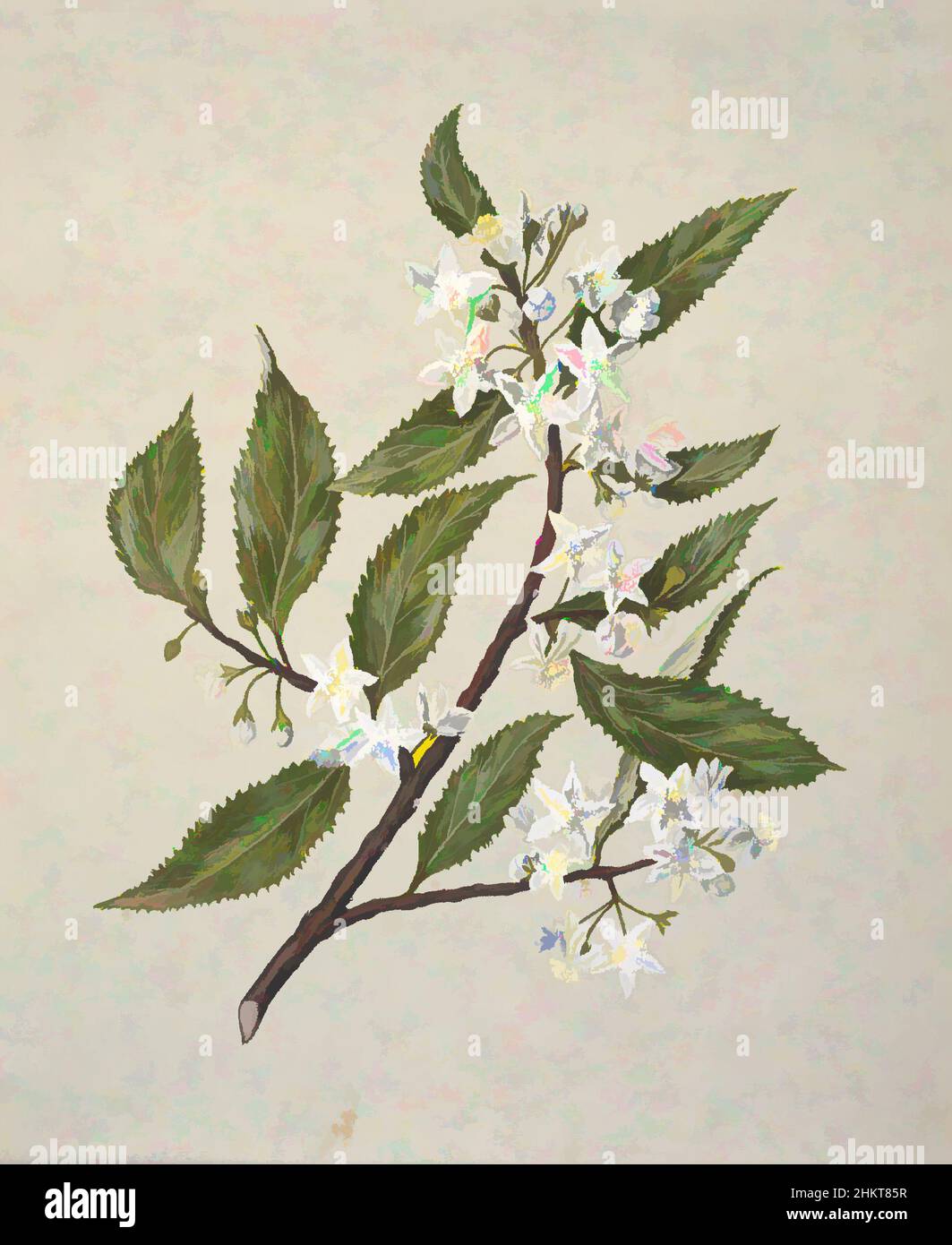 Art Inspired by Untitled, Sarah Featon, circa 1885, Neuseeland, 1889 veröffentlichten Sarah Featon und ihr Mann Edward Featon das Art Album of New Zealand Flora, in dem sie versuchten, die ‘„irrige Vorstellung, dass Neuseeland besonders arm an einheimischen Blumen sei“ zu bestreiten. Während die, Classic Works modernisiert von Artotop mit einem Schuss Moderne. Formen, Farbe und Wert, auffällige visuelle Wirkung auf Kunst. Emotionen durch Freiheit von Kunstwerken auf zeitgemäße Weise. Eine zeitlose Botschaft, die eine wild kreative neue Richtung verfolgt. Künstler, die sich dem digitalen Medium zuwenden und die Artotop NFT erschaffen Stockfoto