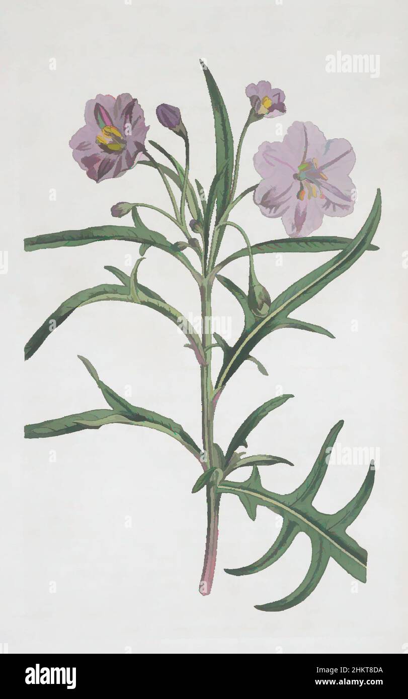 Kunst inspiriert von Solanum laciniatum, Unbekannt, 1796, England, Gravur, Klassische Werke, die von Artotop mit einem Hauch von Moderne modernisiert wurden. Formen, Farbe und Wert, auffällige visuelle Wirkung auf Kunst. Emotionen durch Freiheit von Kunstwerken auf zeitgemäße Weise. Eine zeitlose Botschaft, die eine wild kreative neue Richtung verfolgt. Künstler, die sich dem digitalen Medium zuwenden und die Artotop NFT erschaffen Stockfoto