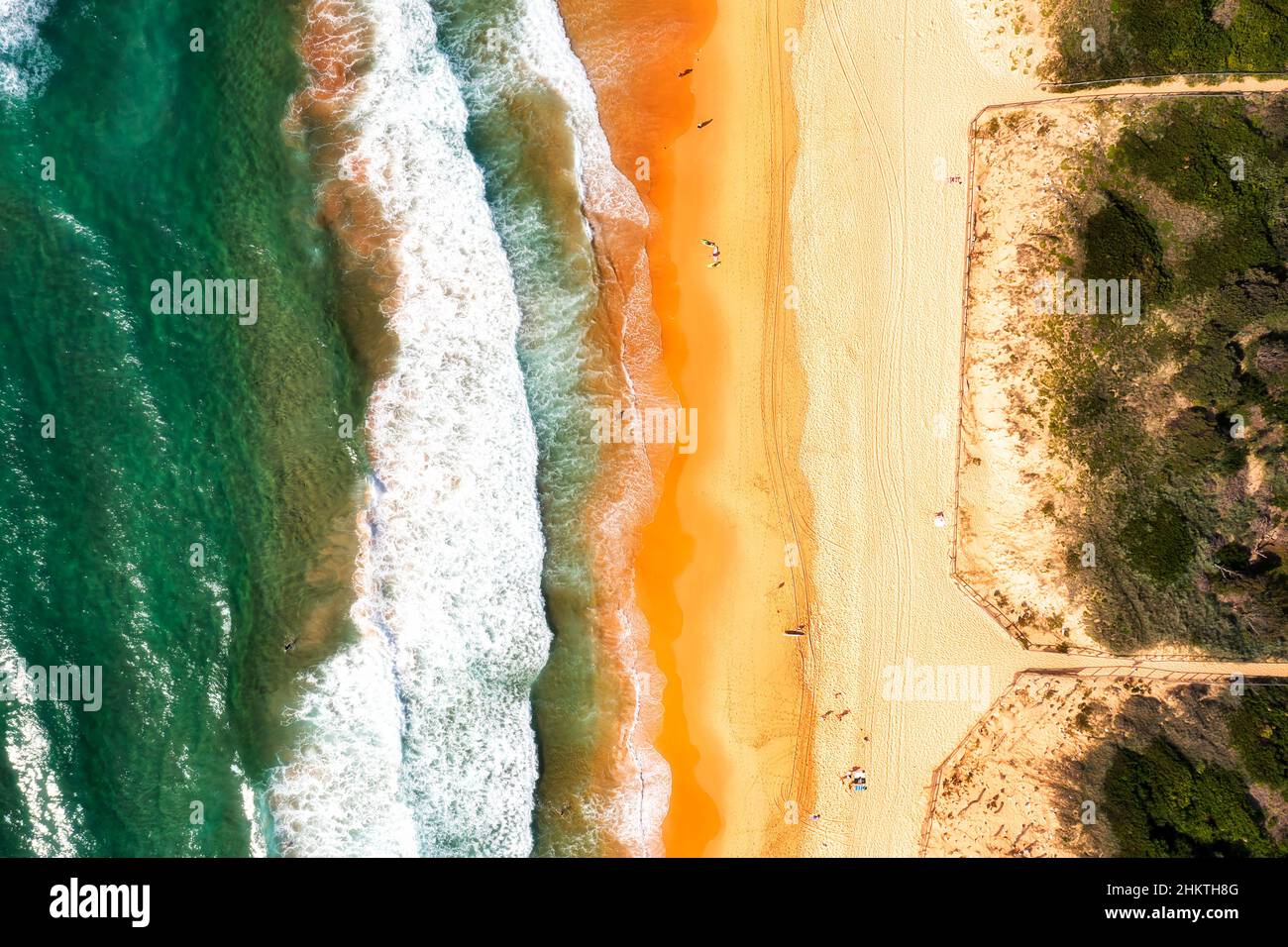 Sauberer sandiger Curl Curl-Strand mit Dünen und Naturschutzgebiet an den nördlichen Stränden der Pazifikküste von Sydney. Stockfoto
