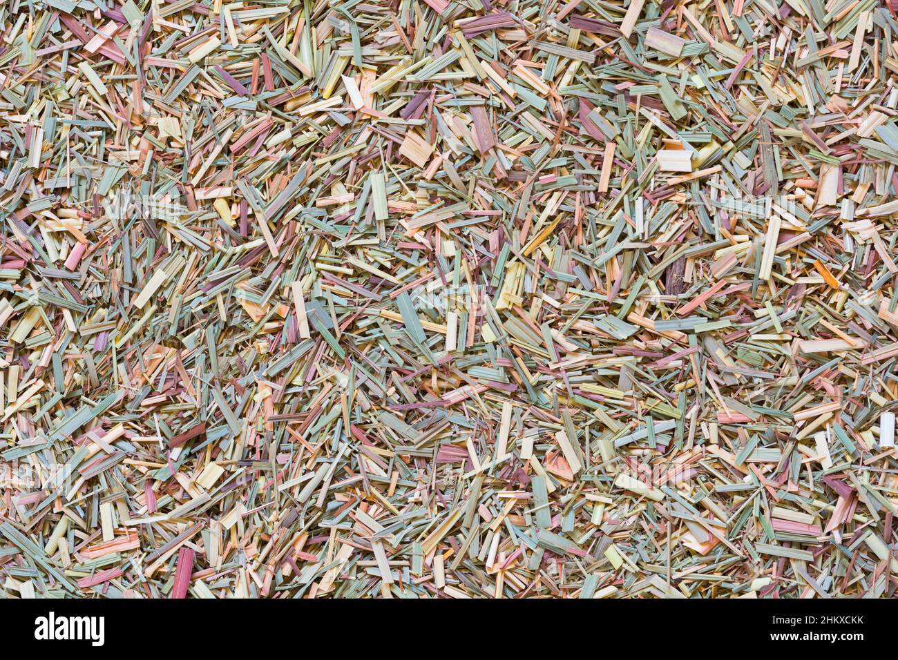 Zitronengras schneiden trockene Blätter als Hintergrund Stockfoto