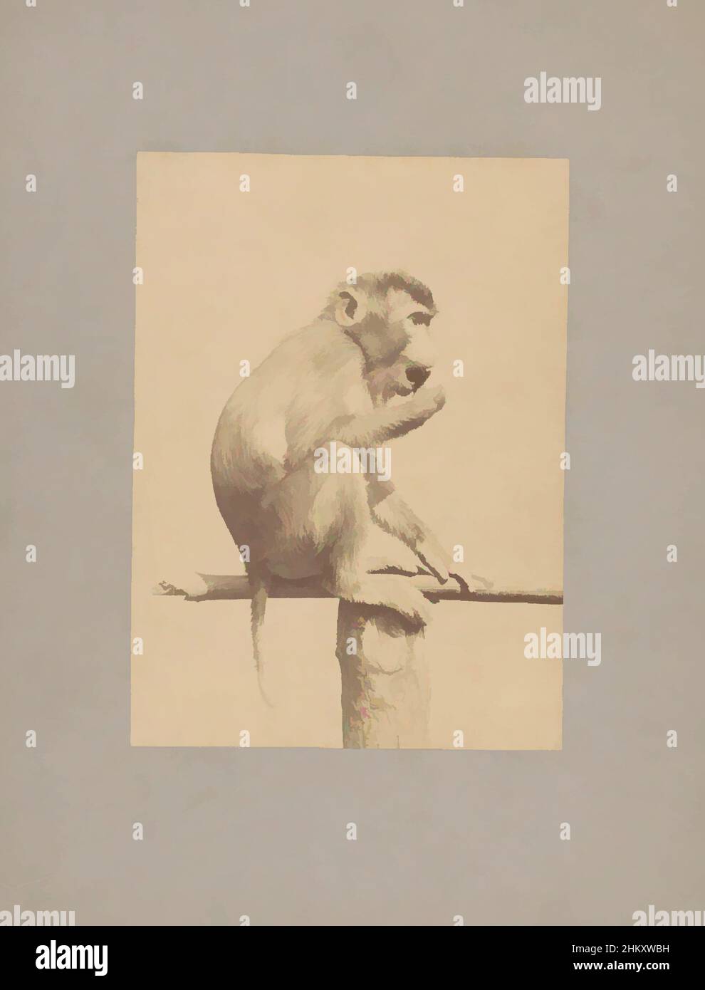 Kunst inspiriert von Affe auf einem Stock, der etwas in den Mund legt, Ottomar Anschütz, c. 1886, Karton, Albumendruck, Höhe 202 mm × Breite 147 mm, Classic Works modernisiert von Artotop mit einem Schuss Moderne. Formen, Farbe und Wert, auffällige visuelle Wirkung auf Kunst. Emotionen durch Freiheit von Kunstwerken auf zeitgemäße Weise. Eine zeitlose Botschaft, die eine wild kreative neue Richtung verfolgt. Künstler, die sich dem digitalen Medium zuwenden und die Artotop NFT erschaffen Stockfoto