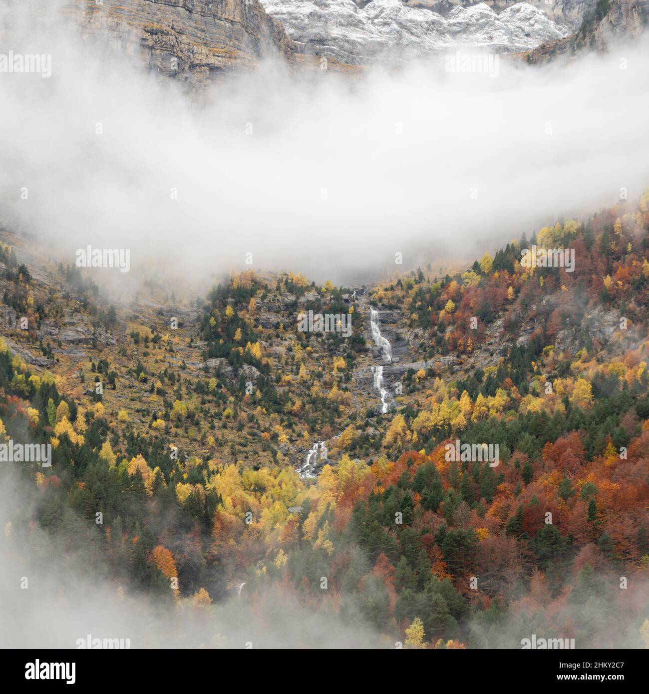 Herbstfarben im pineta-Tal Stockfoto