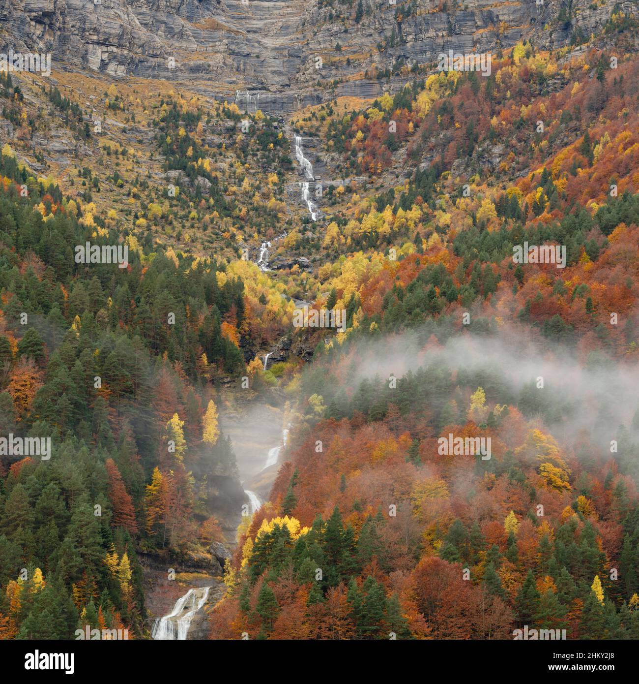 Herbstfarben im pineta-Tal Stockfoto