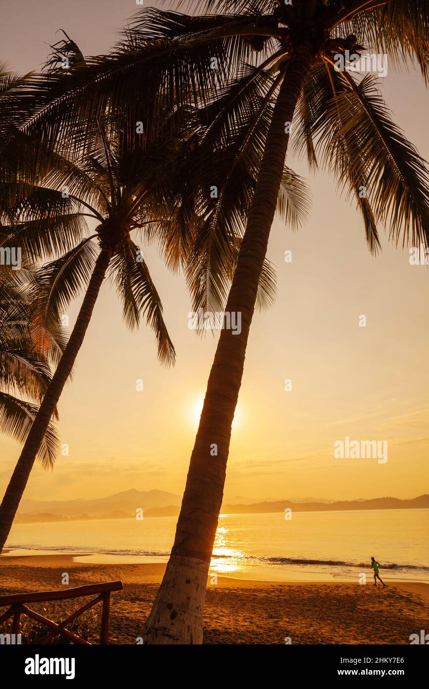 Kokospalmen. Manzanillo Beach. Pazifischer Ozean. Colima. Mexiko, Nordamerika Stockfoto