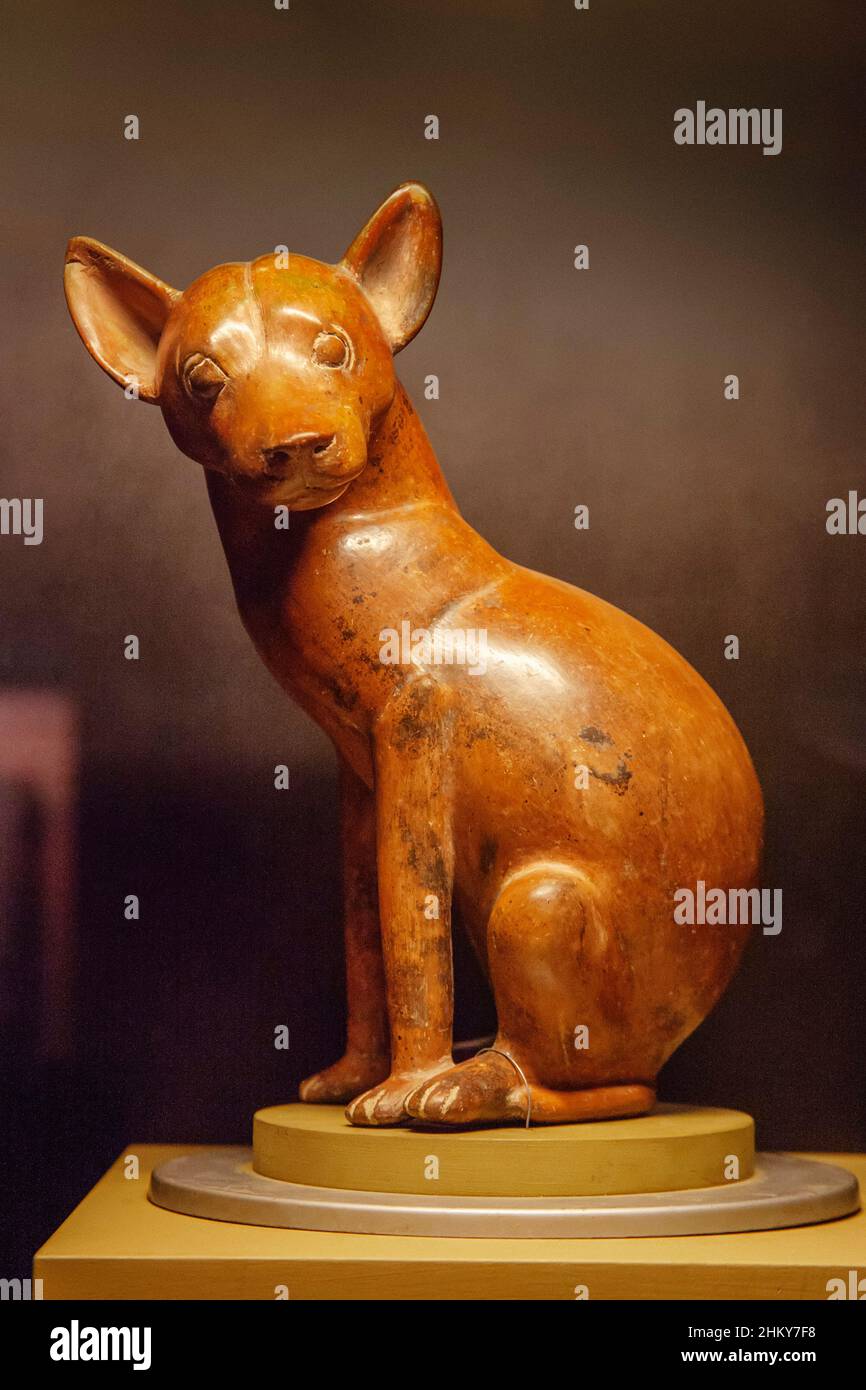 Colimense Hund, prähispanische Statuette, Museo Universitario Alejandro Rangel Hidalgo, Nogueras. Colima. Mexiko, Nordamerika Stockfoto