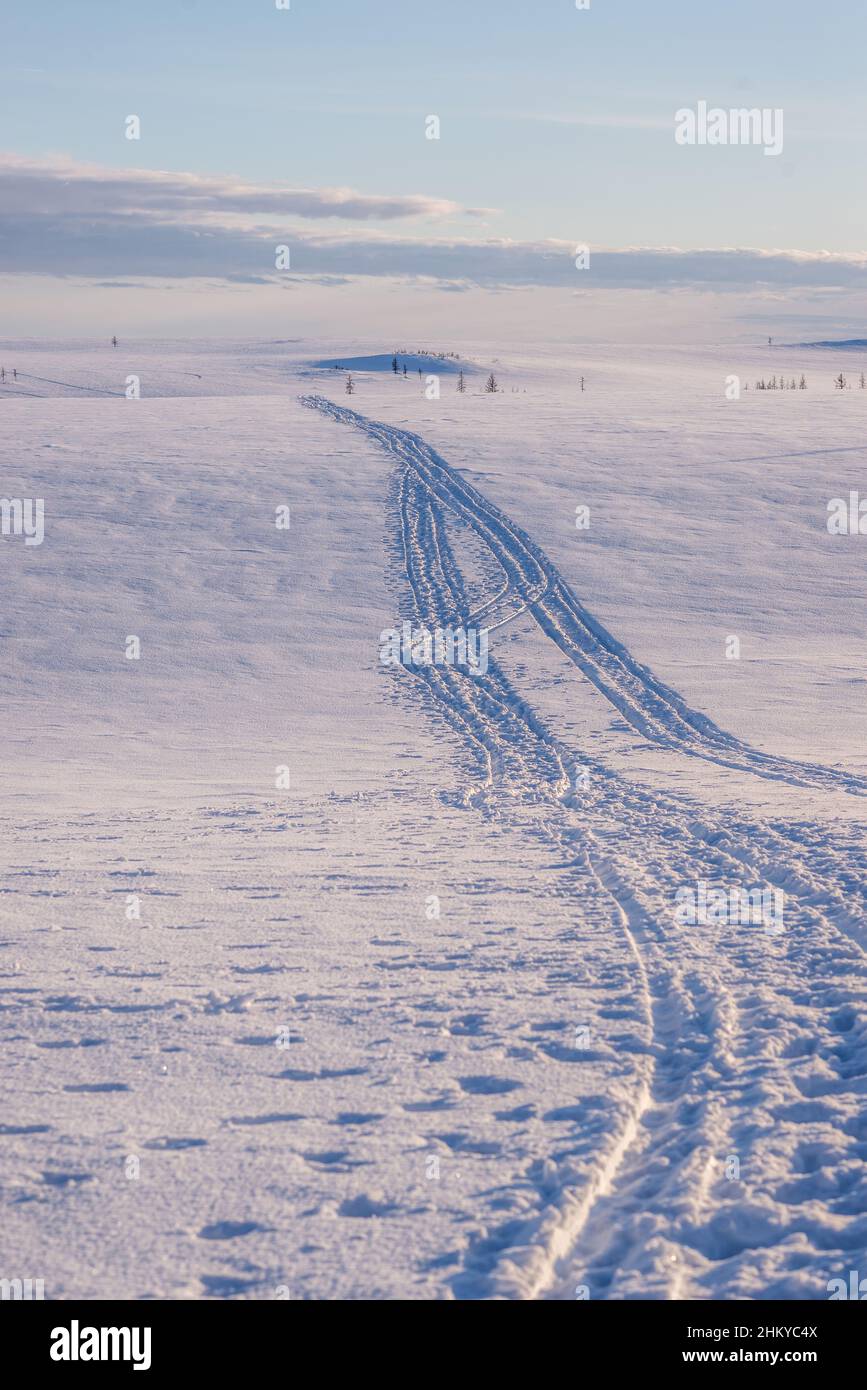 Spuren eines Schneemobils auf einer schneeweißen Tundra-Landschaft. Autonomer Kreis Jamal-Nenzen, Russland Stockfoto