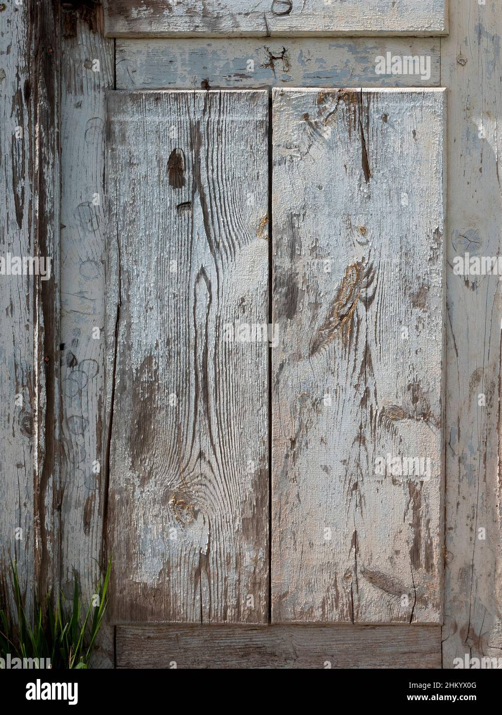 Alte Holztür mit rissiger Farbe, Nahaufnahme. Fragment einer rustikalen Strukturwand Stockfoto
