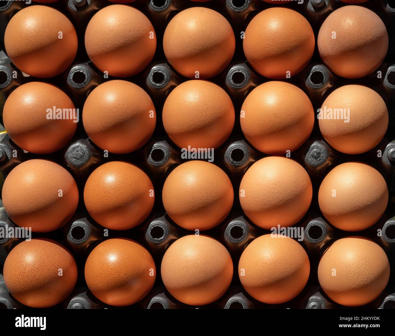 Nahaufnahme von Hühnereiern in der Eierplatte. Stockfoto