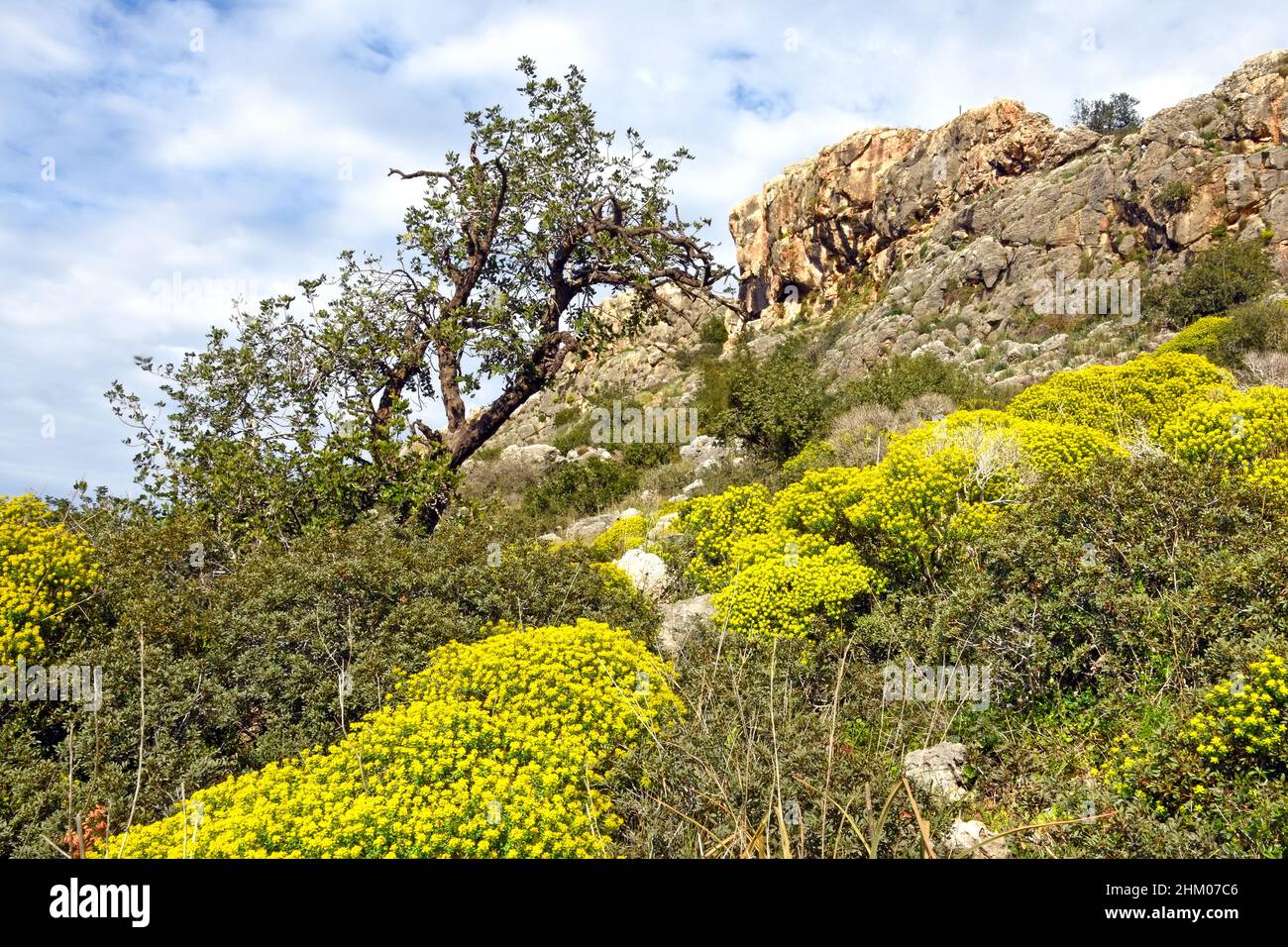 Carmel Ridge, nahal Me'arot, Israel Stockfoto