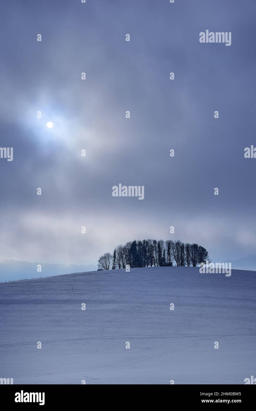 Winterstimmung mit hohem Nebel und Sonne in Bayern, Deutschland Europa Stockfoto