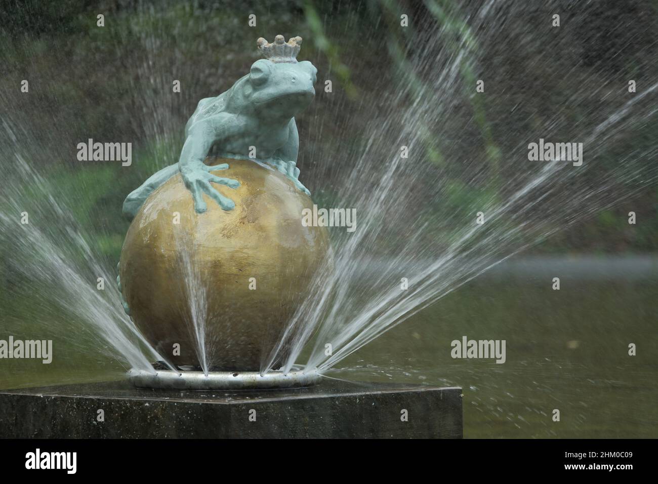 Froschfürst im Teich der Orangerie im Kurpark, Bad Homburg, Hessen, Deutschland Stockfoto