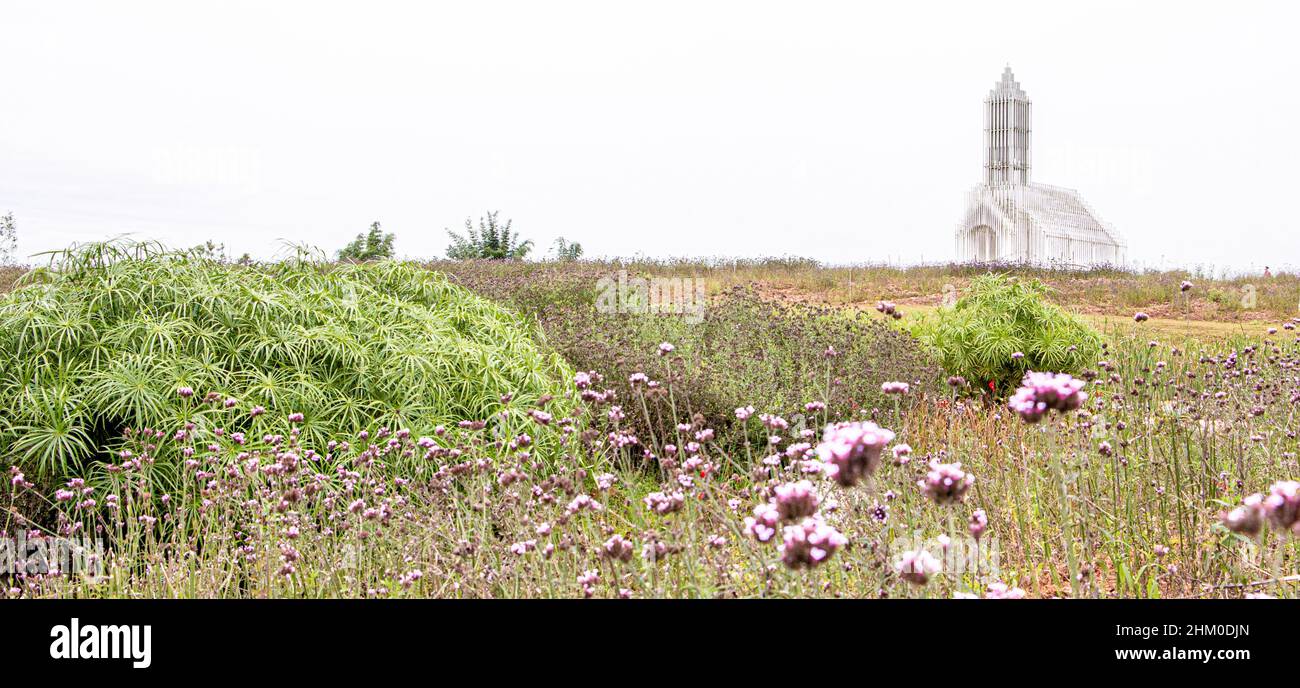 Panoramablick auf die einzigartige weiße Kirche auf dem Feld mit hübschen rosa violetten Blüten, Purptop Vervains (Verbena bonariensis) im Vordergrund Stockfoto