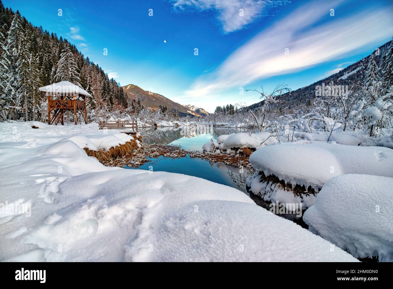 Kleiner smaragdgrüner See im Naturschutzgebiet Zelenci in der Nähe von Kranjska Gora, Slowenien Stockfoto