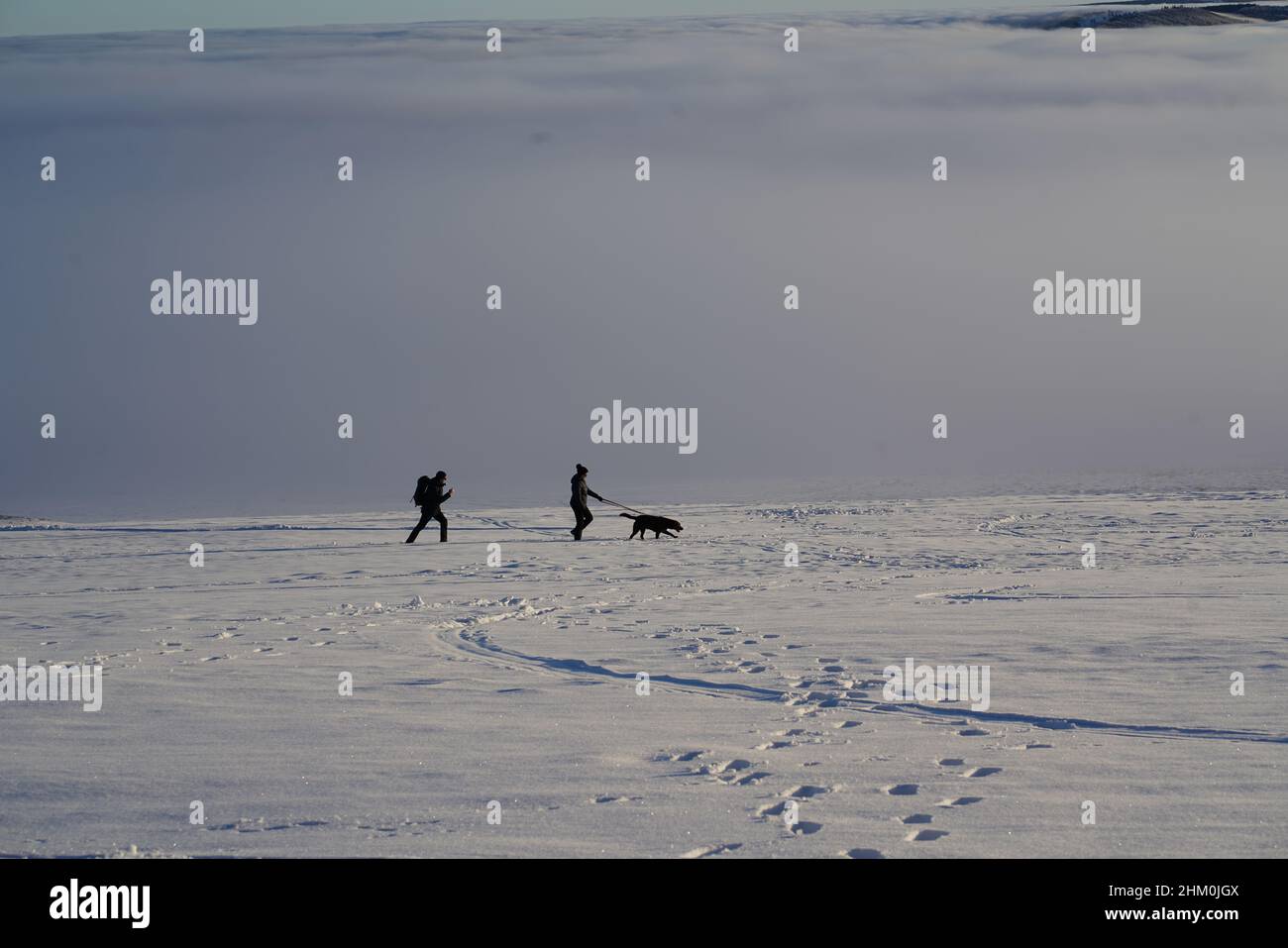 Das Konzept der Entspannung in den Bergen im Winter im Schnee auf Skiern, Snowboards oder Schlitten, Wandern unter der untergehenden Sonne bei Sonnenuntergang auf der Stockfoto