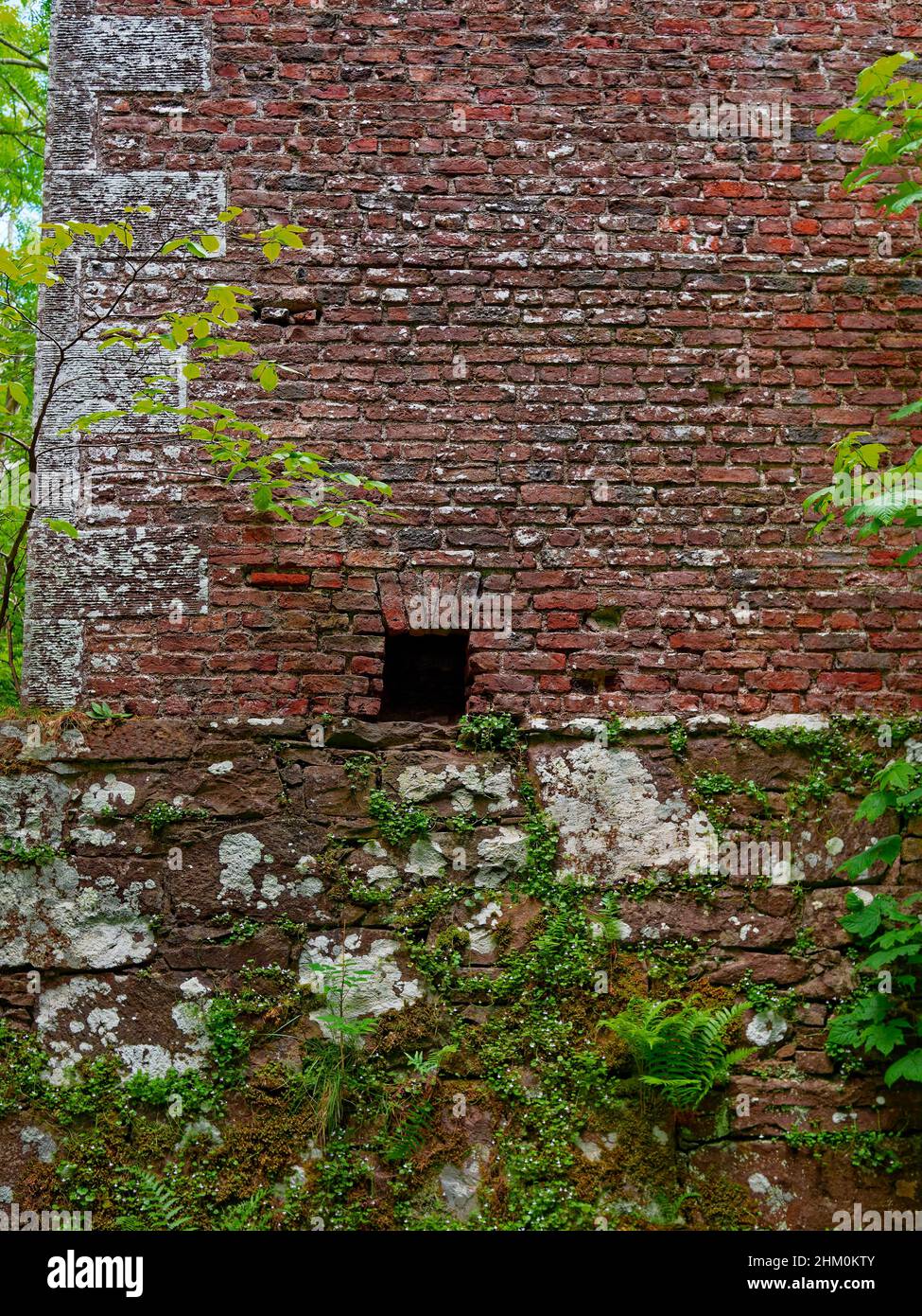 Eine kleine offene Nische, die in das Mauerwerk des alten ummauerten Garden of Kennedy House in den Woods of Dunnottar in der Nähe von Stonehaven eingemauert ist. Stockfoto