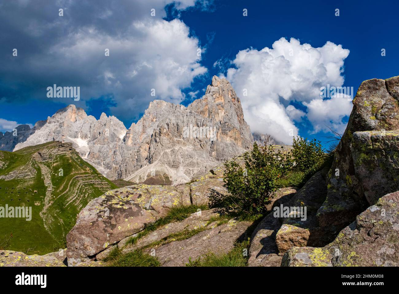 Gipfel und Westwand des Cimon della Pala, einer der wichtigsten Gipfel der Pala-Gruppe, von oben gesehen über dem Rollepass. Stockfoto