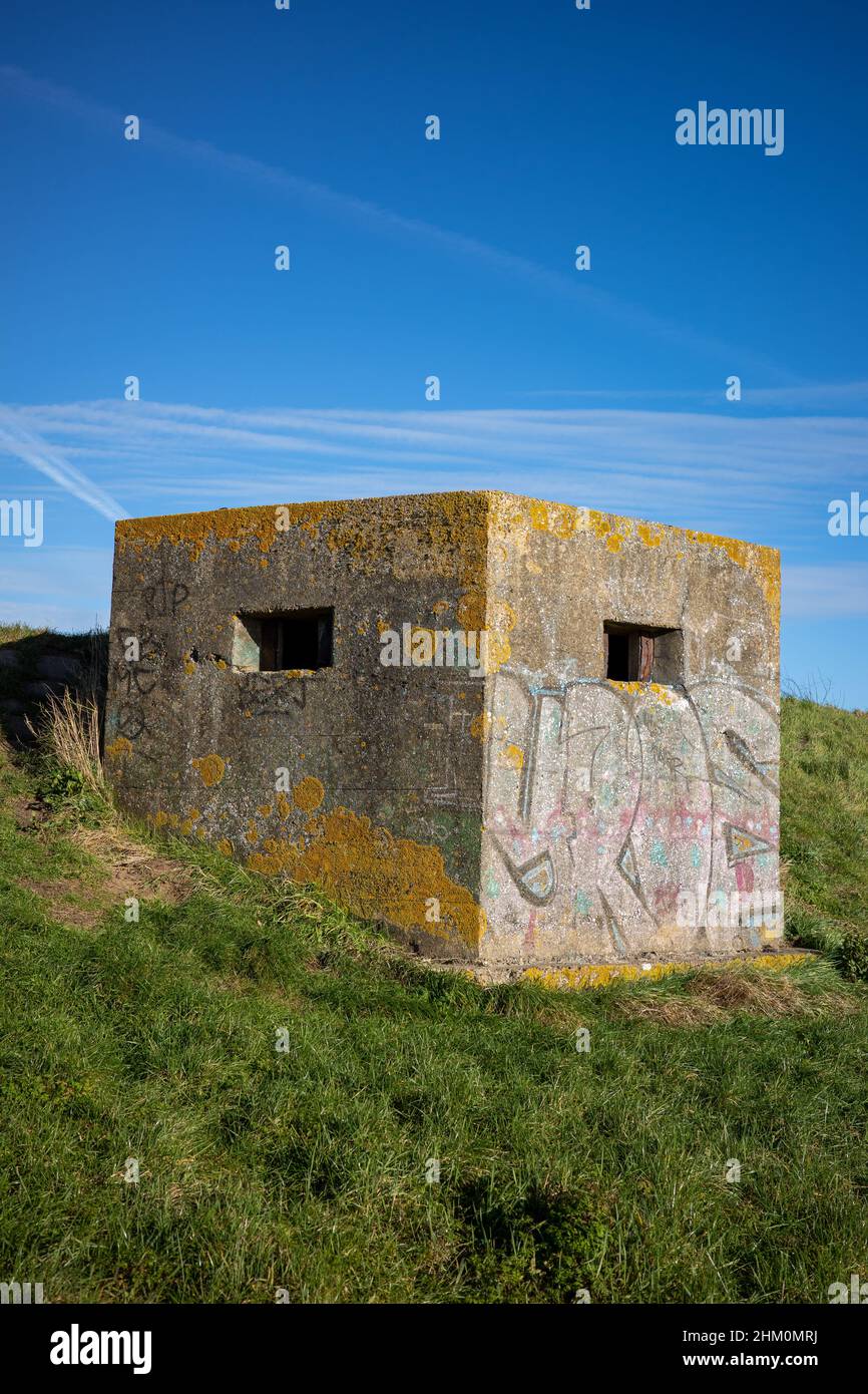 Sechseckige Betonsäulenbox, die in den Uferdamm am Fluss Crouch bei South Fambridge eingebaut wurde, um eine deutsche Invasion im Zweiten Weltkrieg zu verhindern. Stockfoto