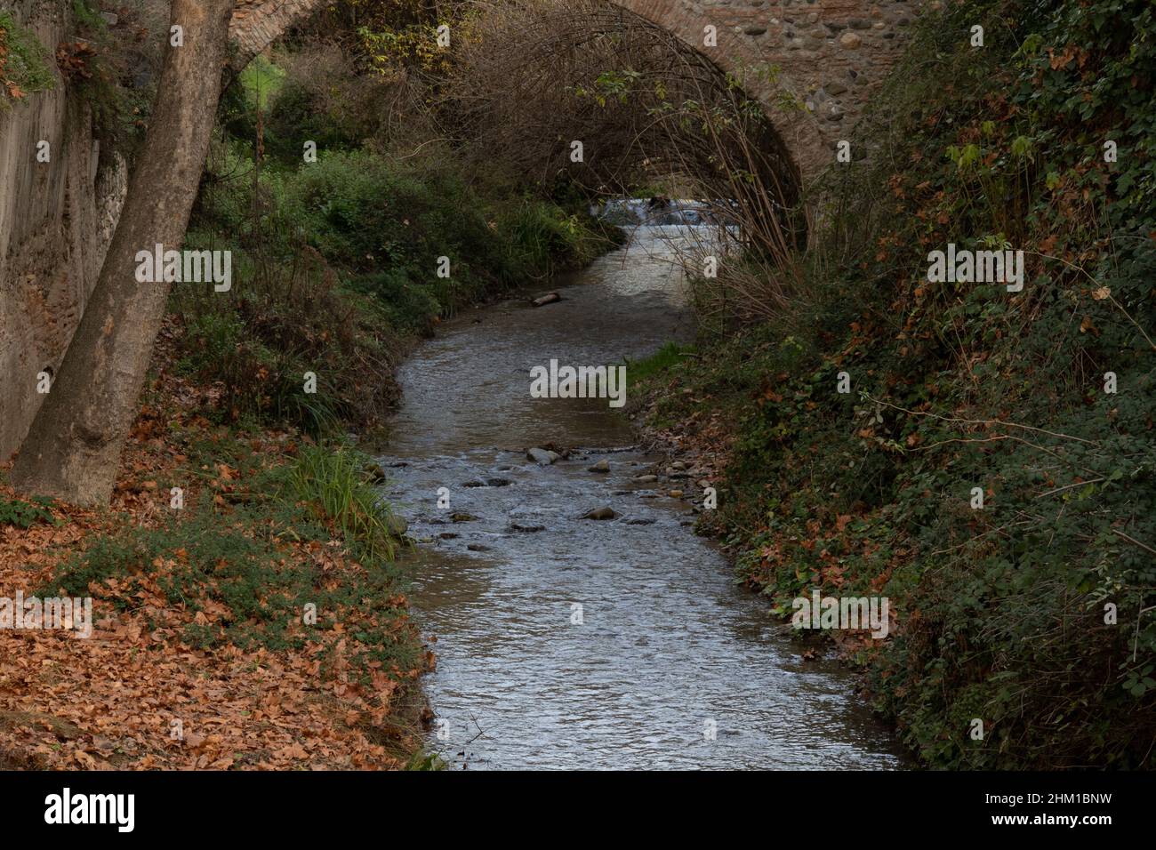 Der Darro Fluss auf seinem Weg durch Granada mit einer Brücke Stockfoto