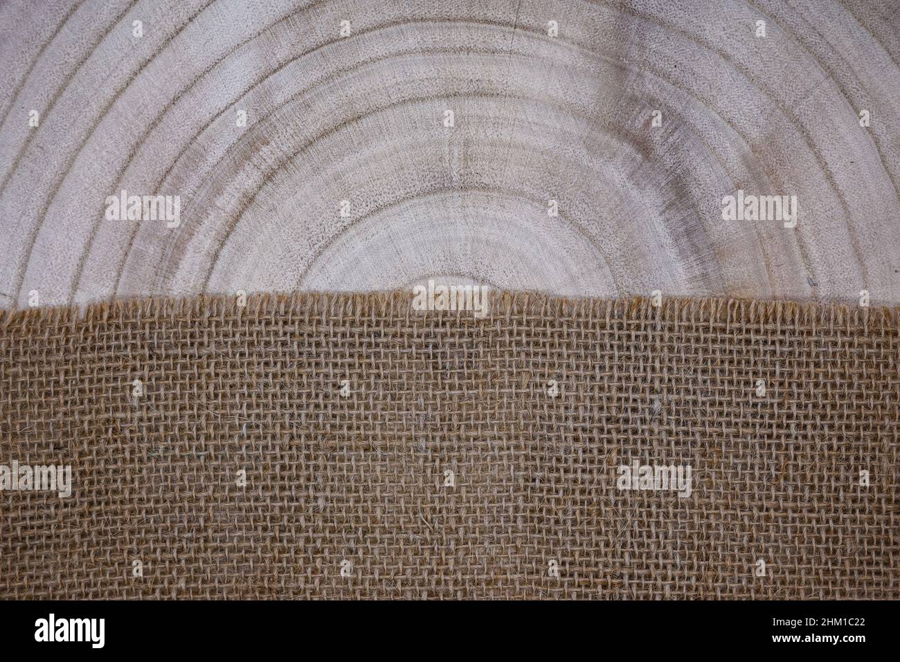 Abstrakter Hintergrund aus natürlichen Materialien. Sackleinen und Holz. Jahresringe auf Holzstruktur. Flat Lay, Draufsicht, Kopierraum, Öko-Konzept. Stockfoto