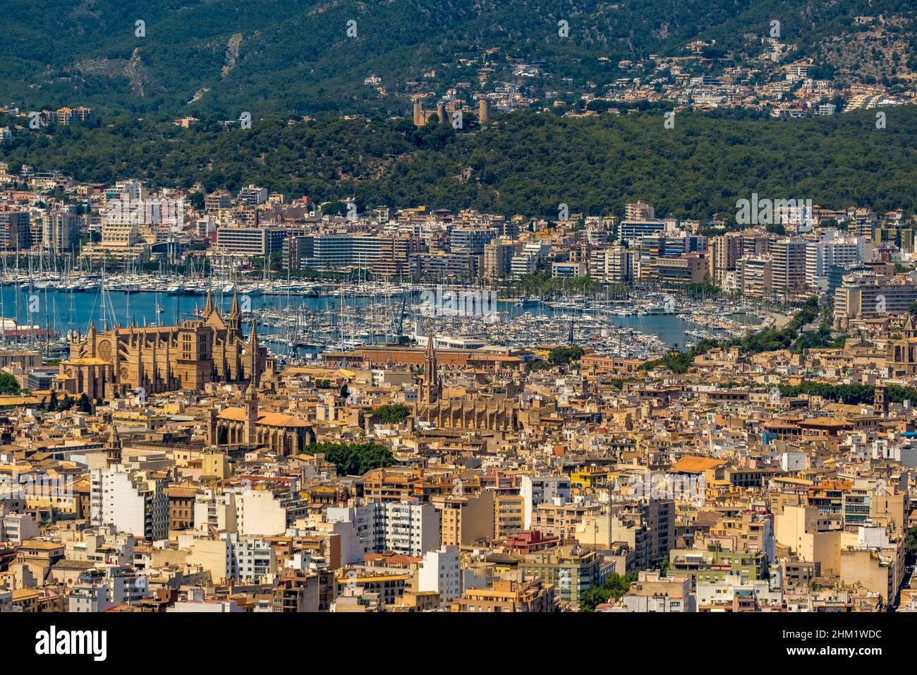 Luftaufnahme, Santa Iglesia Catedral de Mallorca Kirche, Palma Kathedrale, Puerto de Palma, Hafen von Palma im Hintergrund, Palma, Mallorca, Balearen ist Stockfoto