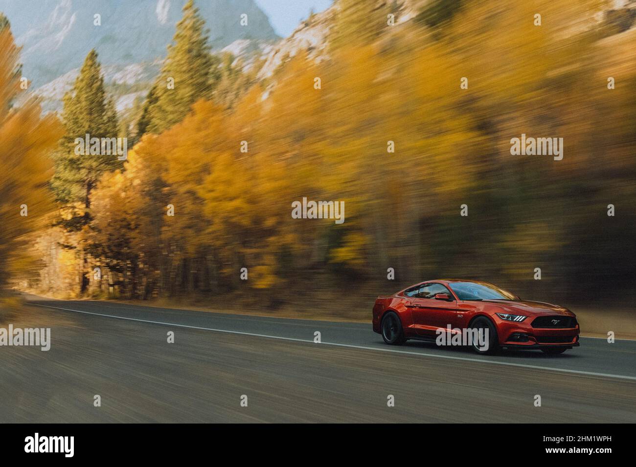 Red Ford Mustang GT in Aktion Stockfoto