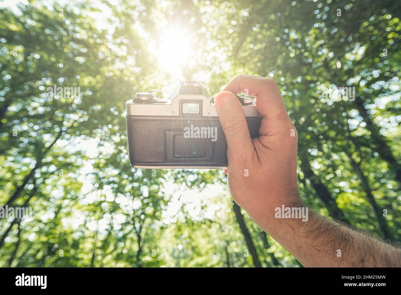 Männliche Hand, die eine Vintage-Kamera mit explosiver Sonne gegen den Wald hält, um ein Bild aus der Perspektive aufzunehmen. Stockfoto