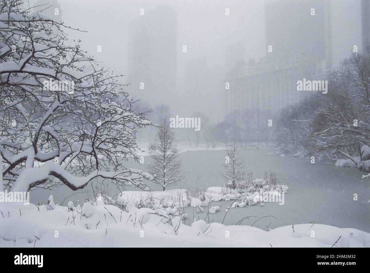 Central Park, New York, Snow and the Lake. Starker Schneefall bedeckt Bäume und Nebel umhüllt die Wolkenkratzer von Midtown Manhattan. Skyline von New York City. USA Stockfoto