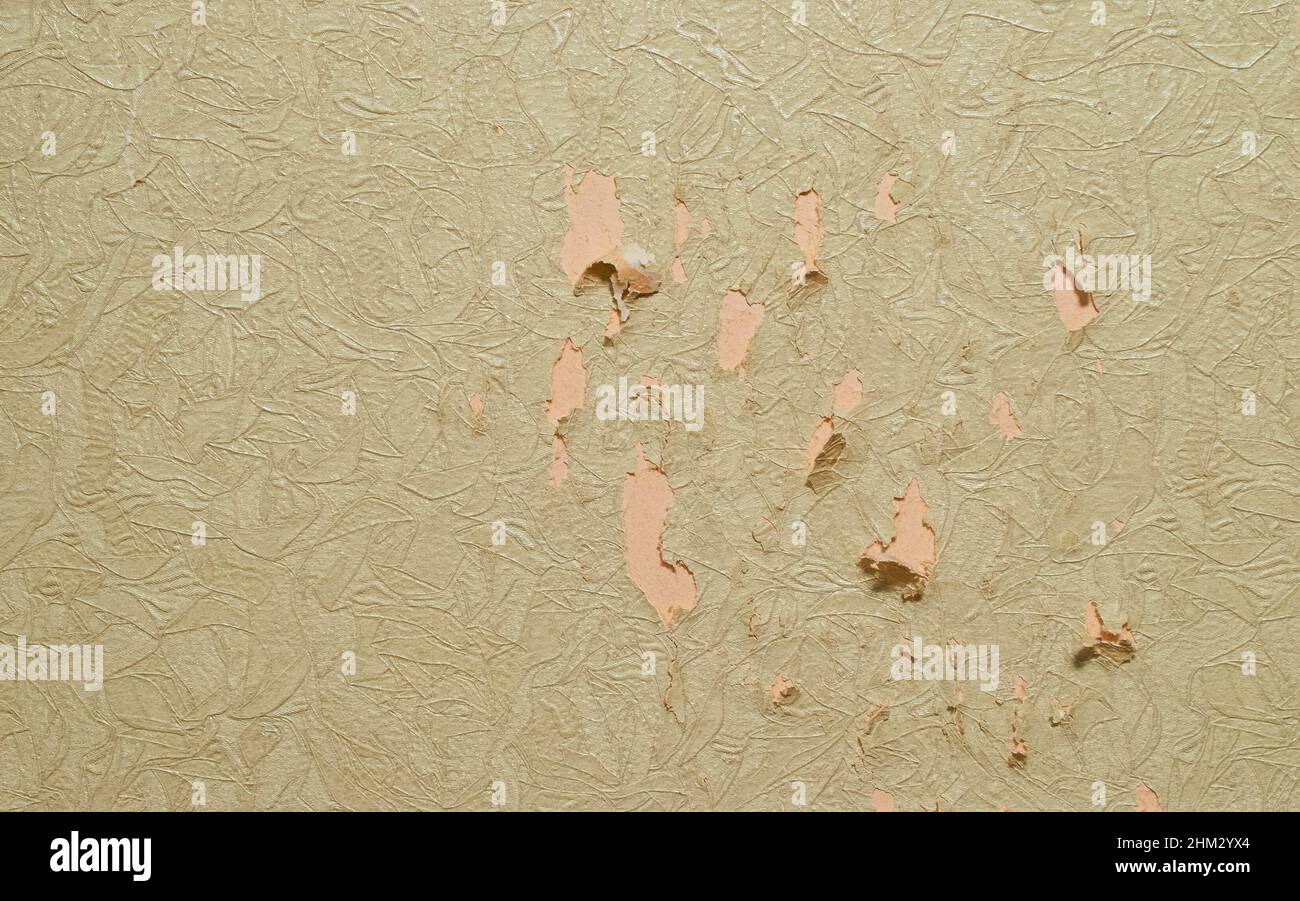 Eine Spur von einer Katze, die an der Wand im Zimmer kratzt Stockfoto